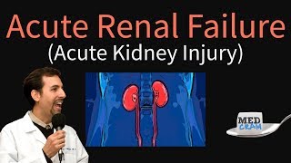 Acute Kidney Injury  Acute Renal Failure Explained Clearly  BUN Creatinine Ratio [upl. by Aer]