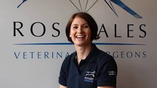 Part 1  Rossdales veterinary specialist Sarah Boys Smith discusses the Lameness Examination [upl. by Eanahs360]