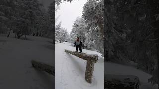 Snowbowl Log Cannon [upl. by Seyah]