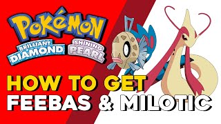 Pokemon Brilliant Diamond amp Shining Pearl How To Get Feebas amp Milotic How To Evolve Feebas BDSP [upl. by Ilarin994]