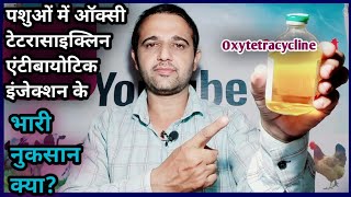 Disadvantages of Oxytetracycline Antibiotic injection in Animalsऑक्सीटेटरासाइक्लिन के नुकसान [upl. by Rakia105]