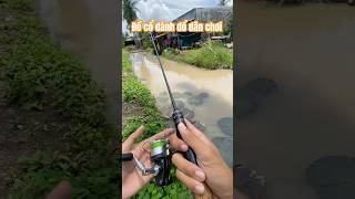 Lục kho thấy có cái máy nhỏ mà tiếng phê quá 🥰🥰 fishing fishingvideo [upl. by Aceissej]