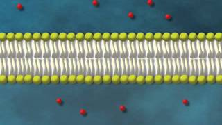 Diffusion simple [upl. by Nnylylloh]