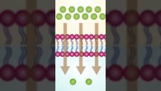 Which best describes the difference between osmosis and diffusion [upl. by Bar]