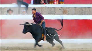 monta toro en corrída de toros Santo Tomás chumbivilcas virgen de la natividad 2023 [upl. by Bowden]