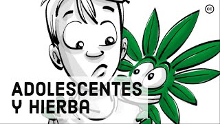 Los efectos de la marihuana en los cerebros adolescentes [upl. by Ianthe]