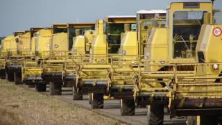 70 New Holland combines in op tocht Trekkerweb [upl. by Atiken]