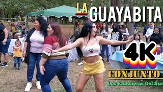 La Guayabita Tarde De Baile Conjunto Los Rancheros Del Sur [upl. by Yecaw]