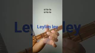 Leylim Ley sazla nasıl çalınır [upl. by Sigfried329]