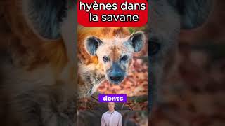 Pourquoi les hyènes sont elles si craintes Découvrez la vérité cachée  animaux [upl. by Airetnohs]