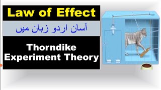 Thorndike theory of learning  Law of Effect  Law of Learning  Trail and Error  Theory Puzzle Box [upl. by Orlosky]