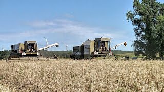 Fortschritt E 514 und E 516B in der Roggenernte [upl. by Asi]