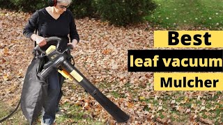 Top 5 Best Leaf Vacuum Mulchers Reviews 2024 [upl. by Steinman]