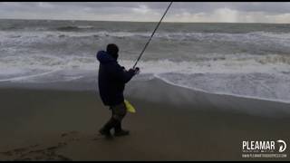 Lubina  Robalo de 3 kilos a Surfcasting  CÁDIZ [upl. by Talya957]