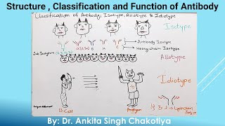 Classification of Antibody Isotype Allotype and Idiotype [upl. by Linehan200]