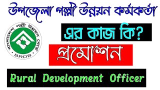 উপজেলা পল্লী উন্নয়ন কর্মকর্তা পদের কাজ কি । BRDB officer post work । প্রমোশন । বেতন । সুযোগ সুবিধা [upl. by Eillak]