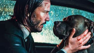 john wick 3 Parabellum First 10 Minutes [upl. by Eatton]