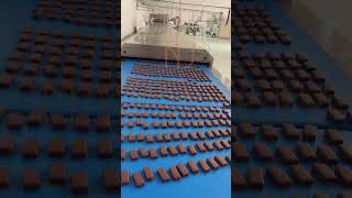 wafer enrobing machine NJ Machinerychocolate enrobingcoating line njmachinery chocolateenrobing [upl. by Frear319]