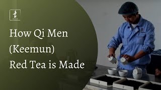 How Qi Men Keemun Red Tea is Made [upl. by Gonsalve]