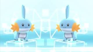 mudkip walk 1 hour [upl. by Sabrina877]