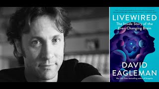 David Eagleman quotLivewired The Inside Story of the EverChanging Brainquot [upl. by Rosemaria750]