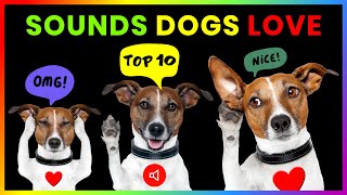 Top 10 Sounds Dogs Love GUARANTEED [upl. by Susanna]