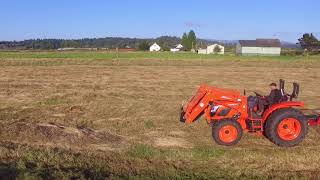 KIOTI Tractor RX7320 Raking Hay With Sitrex 42011 rotary rake [upl. by Nifled]