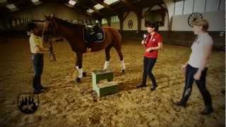 Loesdau Lessons Basics mit Kati Die Reitbahnregeln [upl. by Hedelman267]