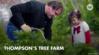 VIDEO Here are seven places you can cut your own tree near Atlanta [upl. by Ardnuahs929]