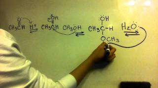 Acetal Formation from an Aldehyde  Mechanism [upl. by Sreip77]