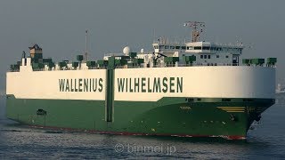 MANON  Wallenius Wilhelmsen Logistics vehicles carrier [upl. by Spring882]