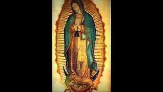 Melodía en el manto de la virgen de guadalupe [upl. by Weinreb]