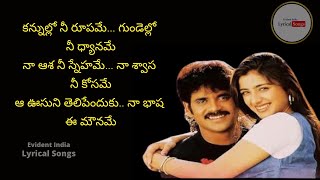 Kannullo Nee Roopame Song TELUGU LYRICS  Ninne Pelladatha Movie Songs  Nagarjuna Tabu [upl. by Ttoile633]