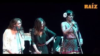 EL DÍA QUE ME QUIERAS  Lila Downs Niña Pastori y Soledad  Raíz Acústico [upl. by Wehttan554]