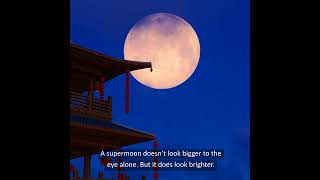 August 19 Full Blue Moon Supermoon [upl. by Aneehsyt484]