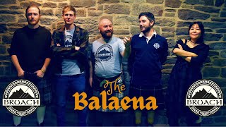 Bruach  The Balaena  Live Scottish Folk Music 2024 [upl. by Petes]