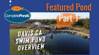 Natural Swim Pond installation  Bog wetland filtration system  Swimming Pond in Davis Ca [upl. by Ikilisav]