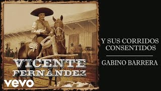 Vicente Fernández  Gabino Barrera Cover Audio [upl. by Oironoh]