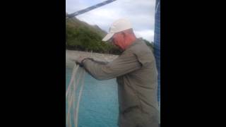 Part 1  How to tie onto a mooring buoy BVI [upl. by Eidson]