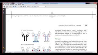 Immunology isotype allotypeidiotype determinants [upl. by Ignacia641]