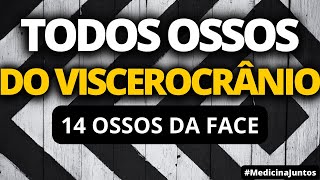 OS 14 OSSOS DA FACE  VISCEROCRÂNIO [upl. by Reese537]