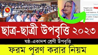 উপবৃত্তি ফরম পূরণ করার নিয়ম ২০২৩  হাইস্কুল কলেজ মাদ্রাসা  Upobritti Form 2023 [upl. by Falo]