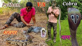 cobra snake vs python snake  python vs cobra। अजगर सांप और नाग सांप का वीडियो [upl. by Ramu]