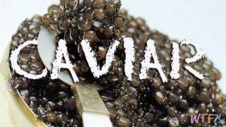 What Is and How to Eat Caviar Caviar 101 [upl. by Toile]