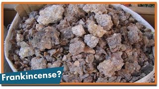 What Are Frankincense and Myrrh [upl. by Croft]