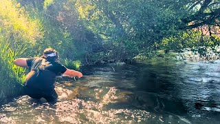 Deschutes River Salmon Flies Fly Fishing 4Day Float [upl. by Marney792]