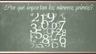 ¿Te has preguntado  ¿Qué tan lógicas son las matemáticas [upl. by Aibsel]