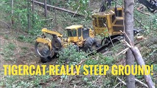 Extreme logging Derrick cutting trees on a 60 slope STEEP [upl. by Simon]