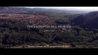 Vendimia 2015 Viñedo del paraje Las Lamas Corullón Bierzo [upl. by Yelrebmik]