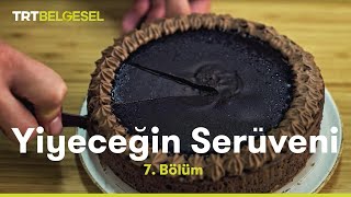 Yiyeceğin Serüveni  Şeker  TRT Belgesel [upl. by Olenta]